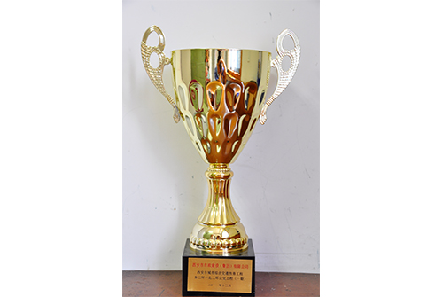 中国asiagame工程协会asiagame金杯树模工程