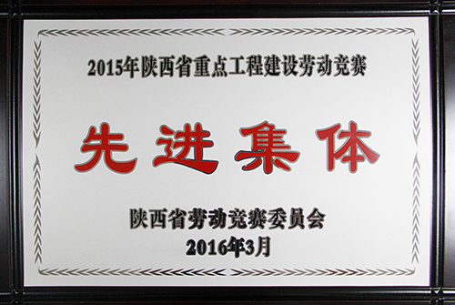 陕西省重点工程建设劳动竞赛先进整体