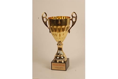 中国asiagame工程协会asiagame金杯树模工程