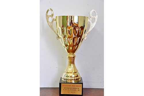 中国asiagame工程协会asiagame金杯树模工程